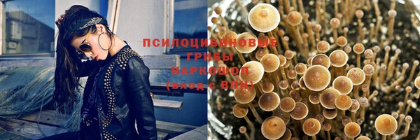 МДПВ Аркадак