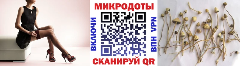 что такое наркотик  Волгоград  Галлюциногенные грибы Cubensis 